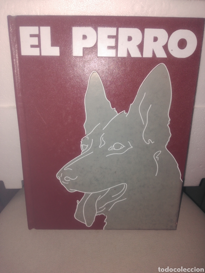 Libros de segunda mano: El perro, volumen 1 .Editorial nueva lente - Foto 1