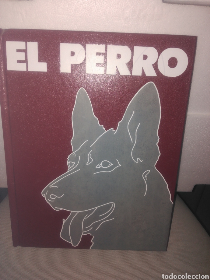 Libros de segunda mano: El perro ,volumen 2 .Editorial nueva lento - Foto 1