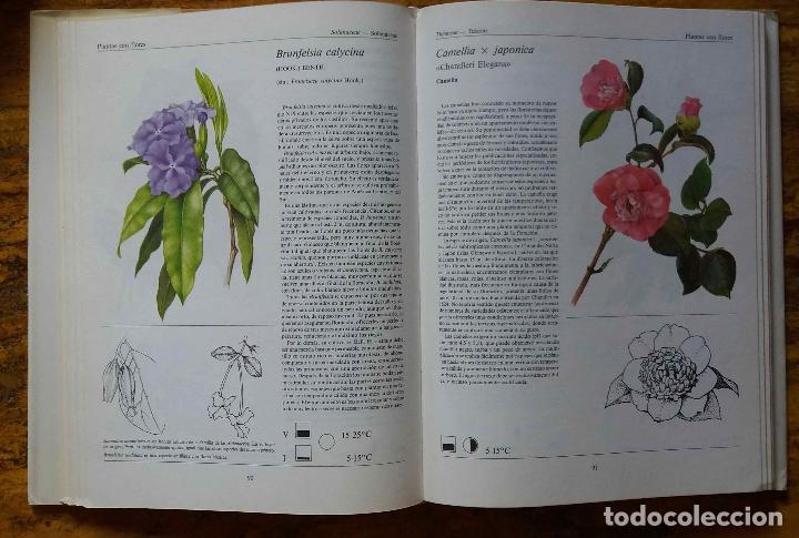 Libros de segunda mano: EL GRAN LIBRO DE LAS PLANTAS DE INTERIOR - Foto 2