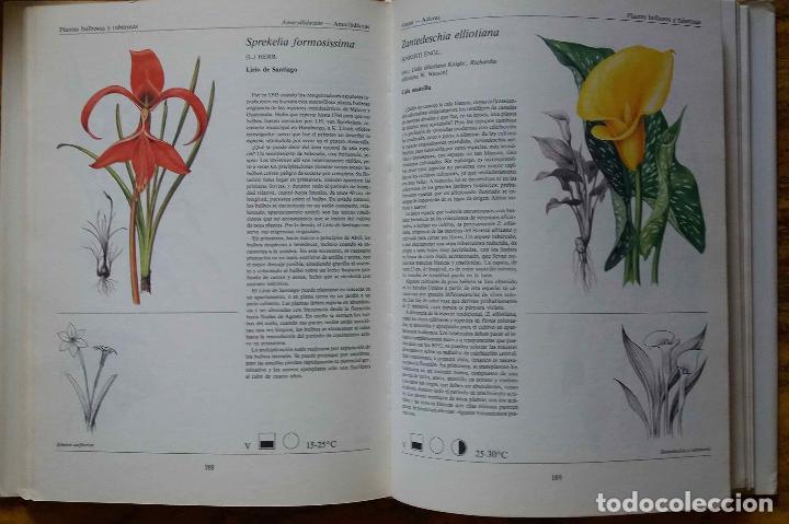 Libros de segunda mano: EL GRAN LIBRO DE LAS PLANTAS DE INTERIOR - Foto 3