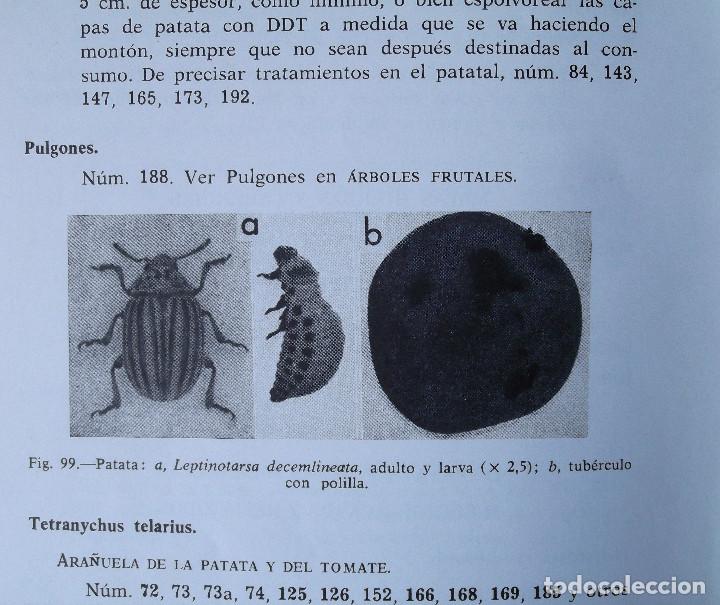 Libros de segunda mano: Plaguicidas Agr&iacute;colas y su aplicaci&oacute;n. A. Alfaro. - Foto 4