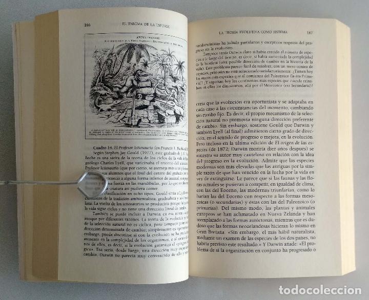 Libros de segunda mano: El enigma de la esfinge. Juan Luis Arsuaga - Foto 5