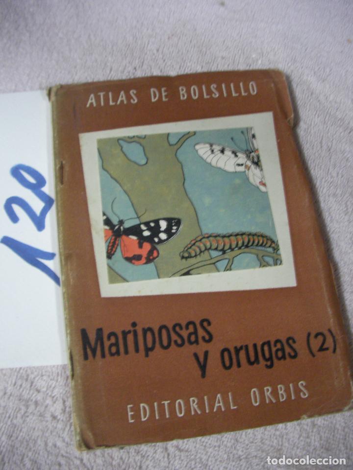 Libros de segunda mano: ATLAS DE BOLSILLO - MARIPOSAS Y ORUGAS - Foto 1