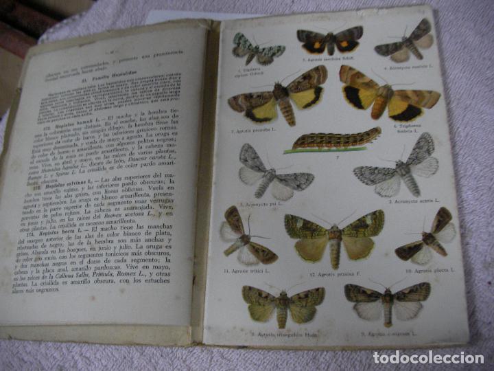 Libros de segunda mano: ATLAS DE BOLSILLO - MARIPOSAS Y ORUGAS - Foto 2