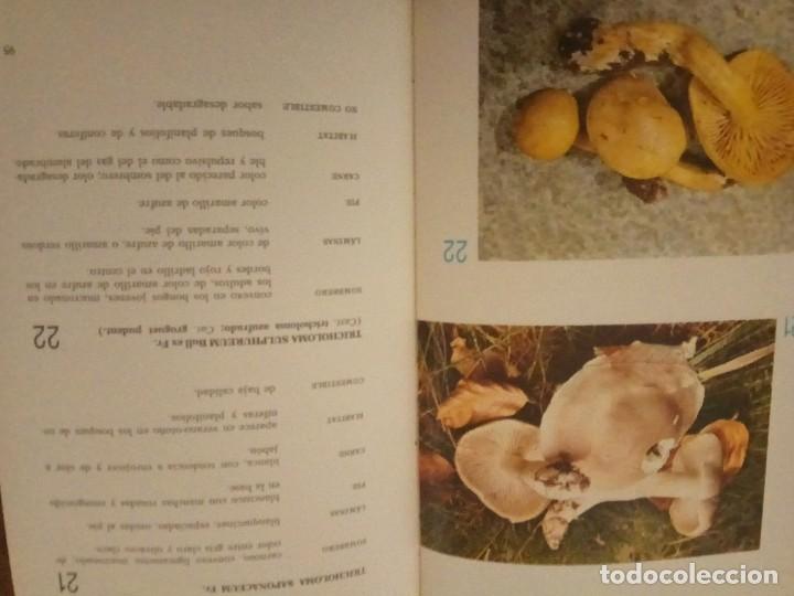 Libros de segunda mano: El gran libro de las setas - Dr. Pedro Luis Viani - Foto 3