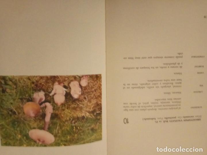 Libros de segunda mano: El gran libro de las setas - Dr. Pedro Luis Viani - Foto 4