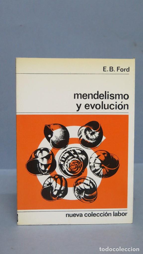Libros de segunda mano: MANDELISMO Y EVOLUCION. E. B. FORD - Foto 1