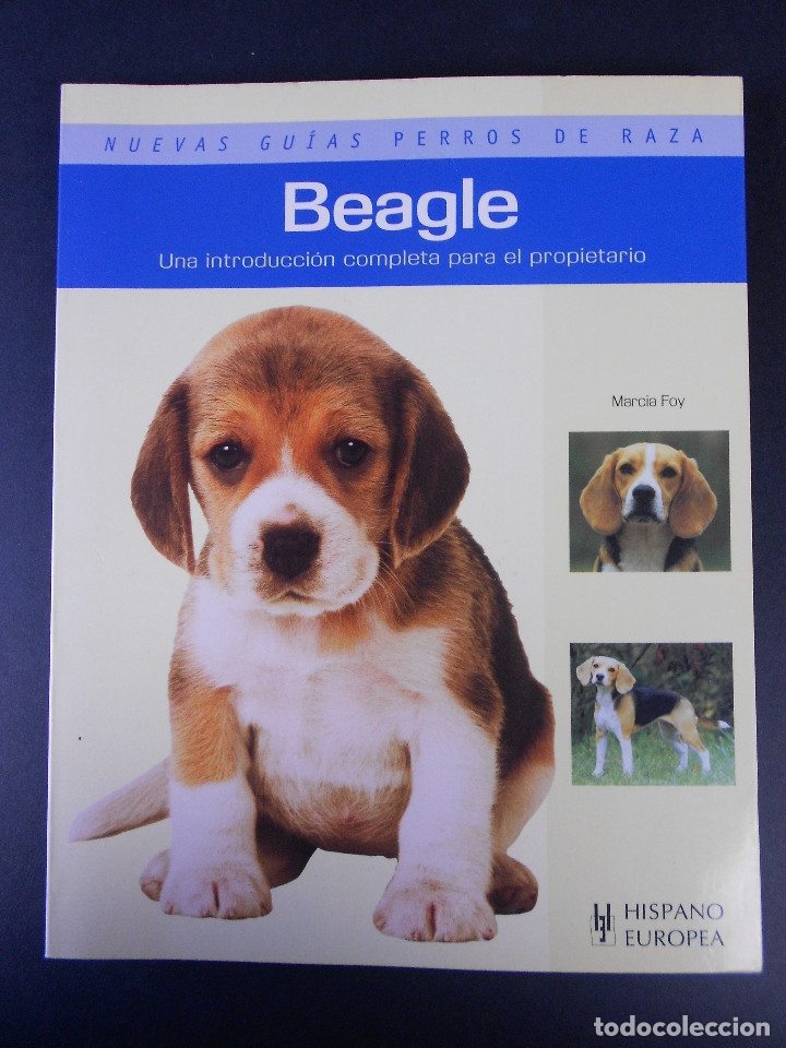 Libros de segunda mano: Beagle, (nuevas gu&iacute;as perros de raza), Hispano Europea 2010 - Foto 1