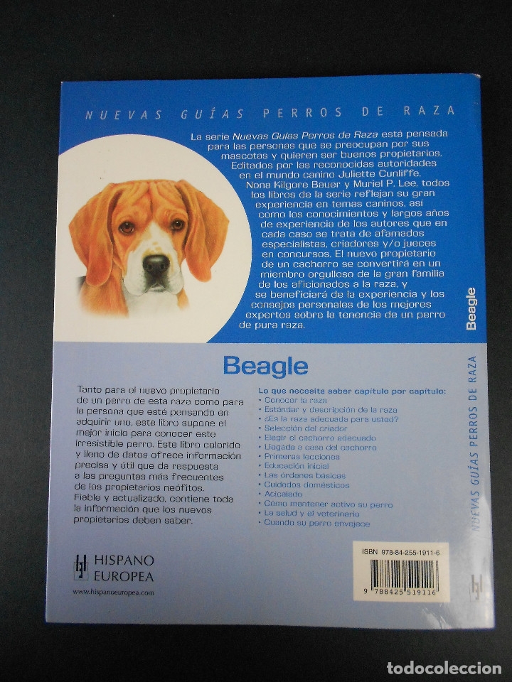 Libros de segunda mano: Beagle, (nuevas gu&iacute;as perros de raza), Hispano Europea 2010 - Foto 3