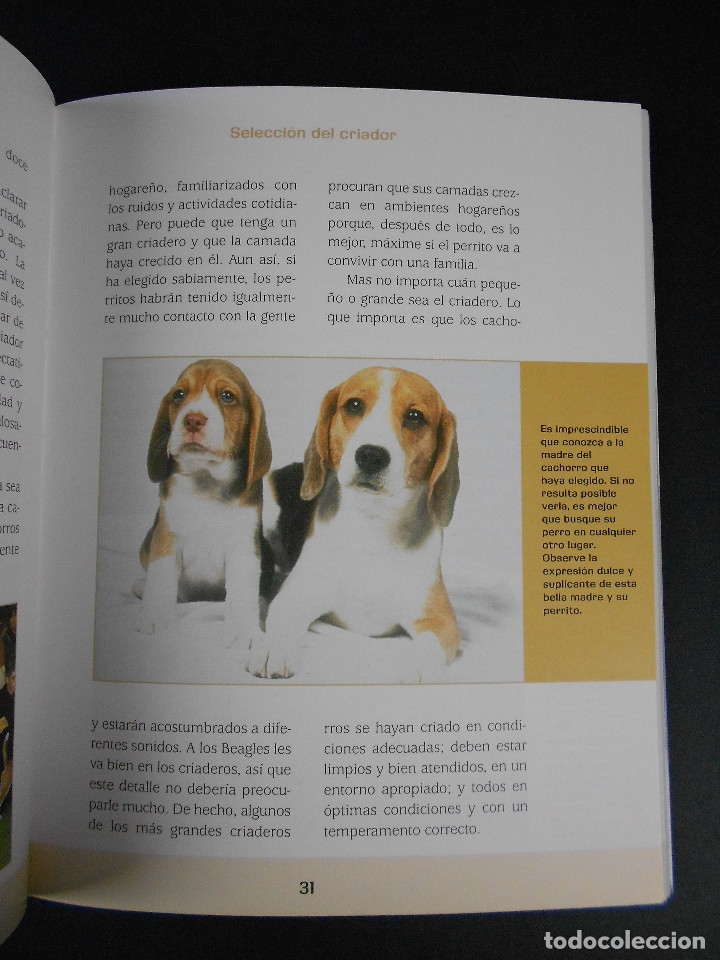 Libros de segunda mano: Beagle, (nuevas gu&iacute;as perros de raza), Hispano Europea 2010 - Foto 5
