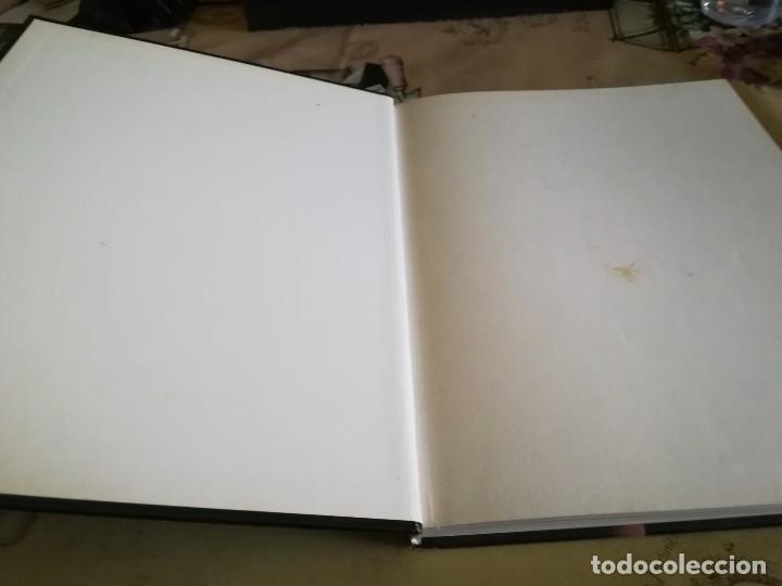 Libros de segunda mano: Beginning life - Geraldine Lux Flanagan - 1996 - en ingl&eacute;s - Foto 7