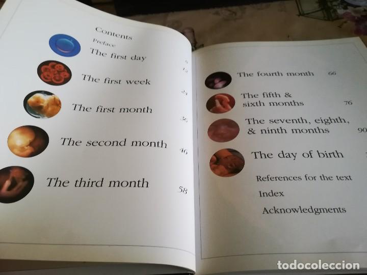 Libros de segunda mano: Beginning life - Geraldine Lux Flanagan - 1996 - en ingl&eacute;s - Foto 9