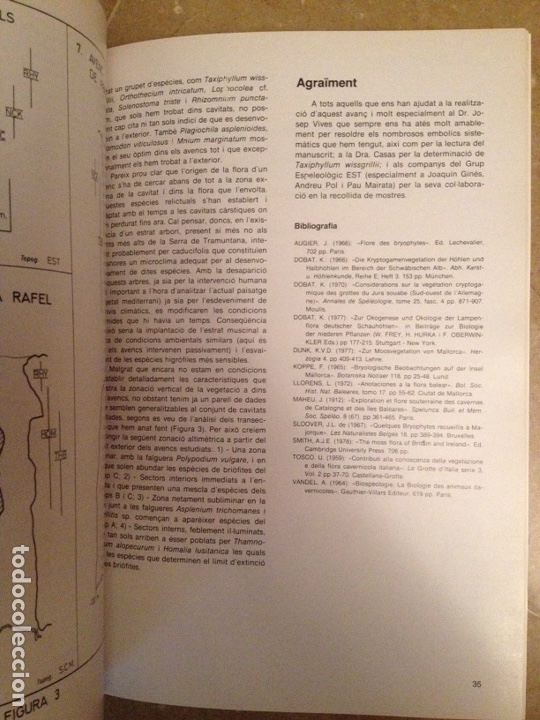 Libros de segunda mano: ENDINS N&ordm; 7 (ESPELEOLOG&Iacute;A MALLORCA) - Foto 6