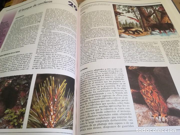 Libros de segunda mano: Atlas Ecolog&iacute;a - Nuestro planeta - Aupper - Foto 6