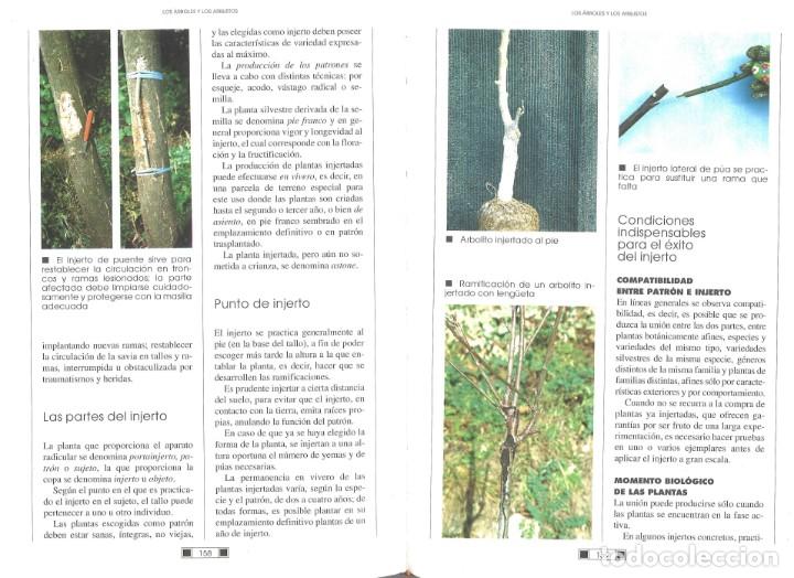 Libros de segunda mano: El libro del jard&iacute;n. Editorial de Vecchi. 2003 - Foto 3