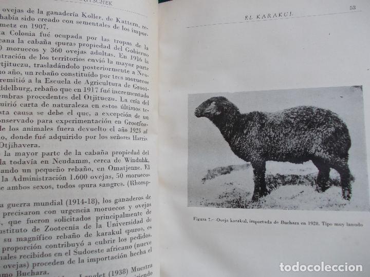Libros de segunda mano: El karakul ,cria ,explotaci&oacute;n etc. - Foto 2