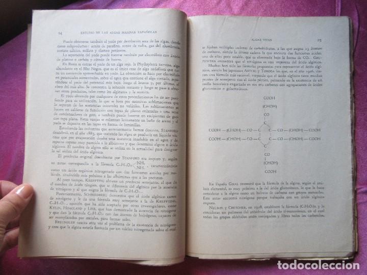 Libros de segunda mano: ESTUDIO DE ALGAS MARINAS ESPA&Ntilde;OLAS CABRERO G&Oacute;MEZ, 1951 P2 3 - Foto 4