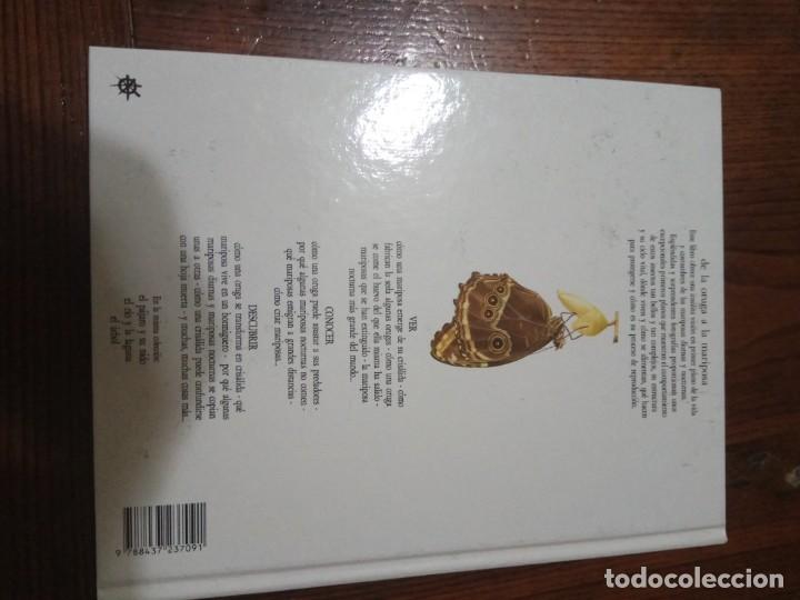 Libros de segunda mano: DE LA ORUGA A LA MARIPOSA - BIBLIOTECA VISUAL ALTEA - Foto 2
