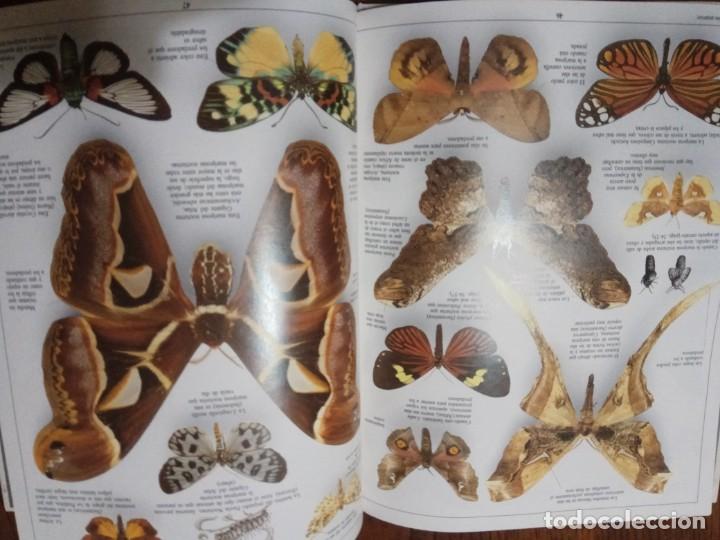 Libros de segunda mano: DE LA ORUGA A LA MARIPOSA - BIBLIOTECA VISUAL ALTEA - Foto 3