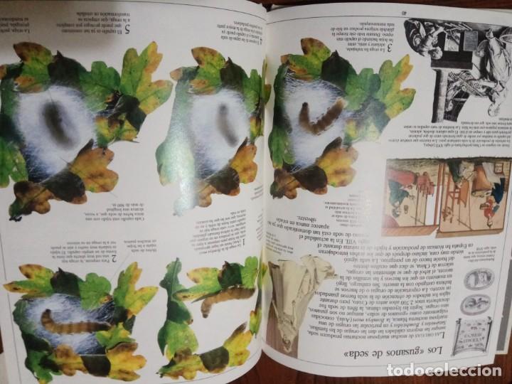 Libros de segunda mano: DE LA ORUGA A LA MARIPOSA - BIBLIOTECA VISUAL ALTEA - Foto 4
