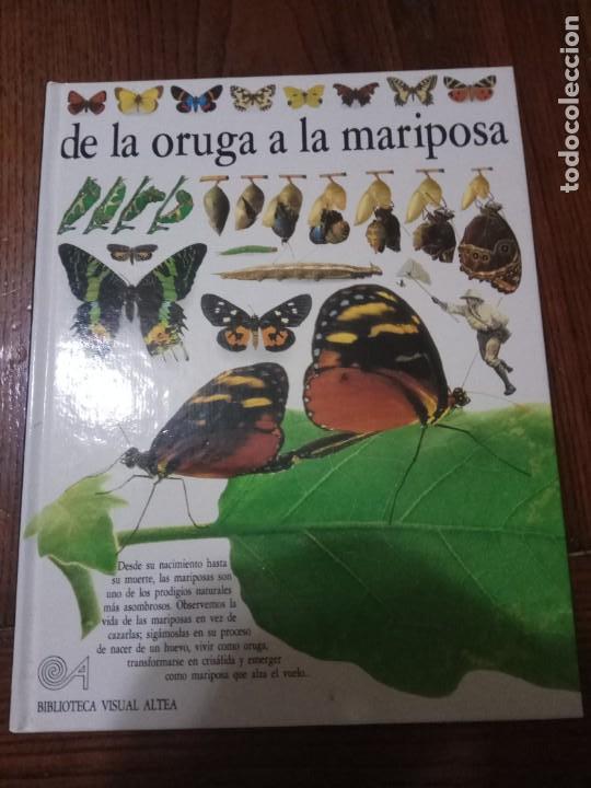 Libros de segunda mano: DE LA ORUGA A LA MARIPOSA - BIBLIOTECA VISUAL ALTEA - Foto 1