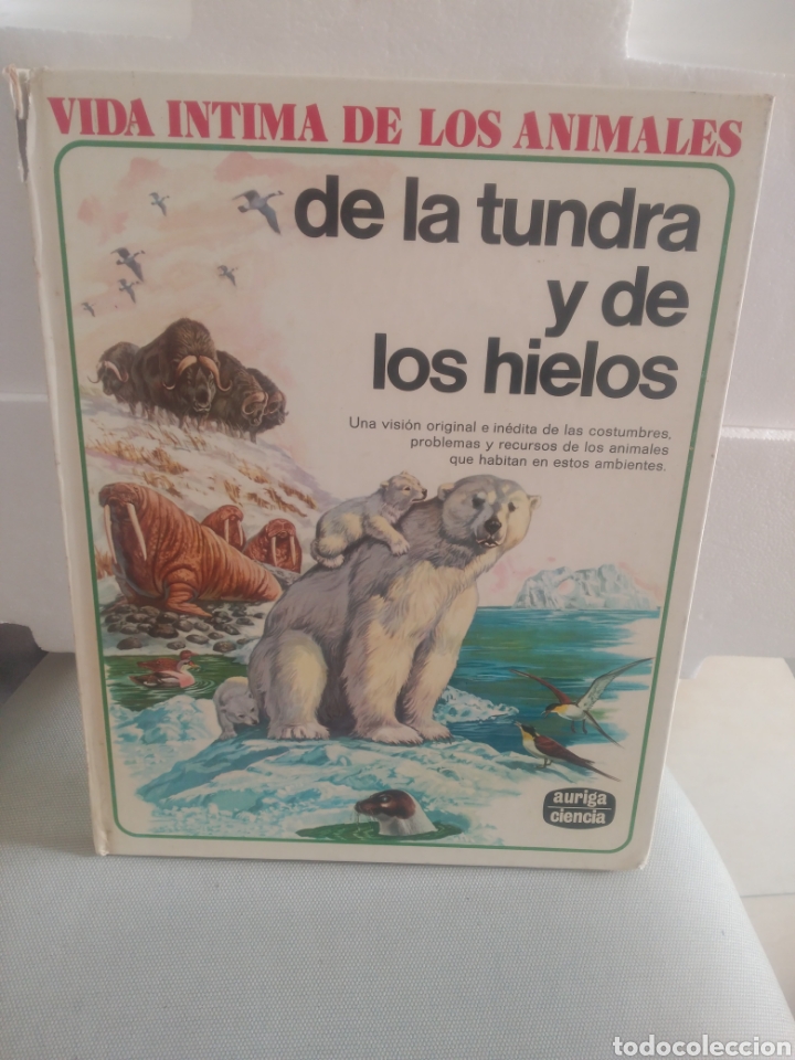 Vida intima de los animales de la tundra y de los hielos