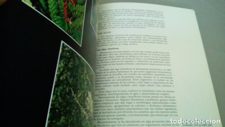 Libros de segunda mano: HISTORIA NATURAL. FLORA: LA VIDA DE LAS PLANTAS - Foto 2