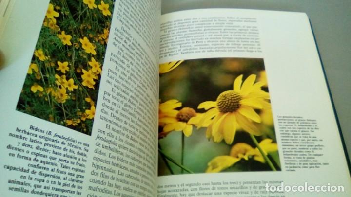 Libros de segunda mano: HISTORIA NATURAL. FLORA: LA VIDA DE LAS PLANTAS - Foto 3