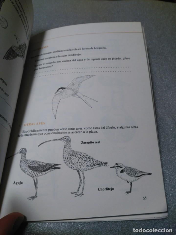 Libros de segunda mano: PARQUE NACIONAL DE DO&Ntilde;ANA - GUIA DEL PROFESOR - Foto 3
