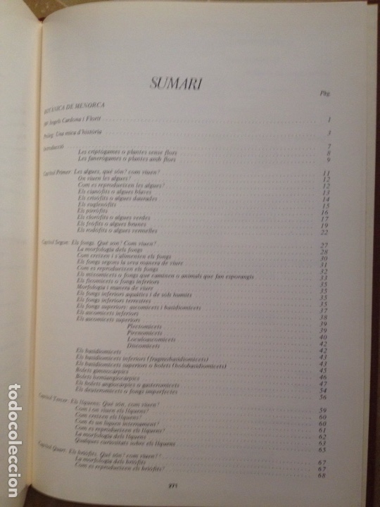 Libros de segunda mano: ENCICLOP&Egrave;DIA DE MENORCA. EL M&Oacute;N VEGETAL (TOM II) - Foto 4