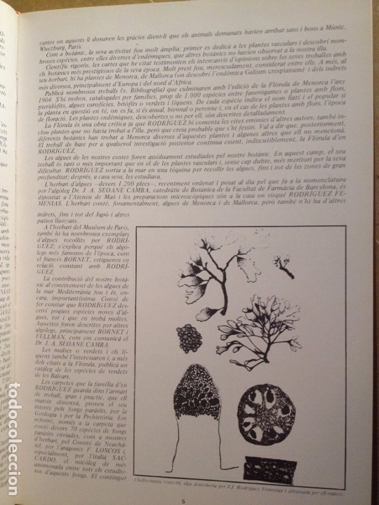 Libros de segunda mano: ENCICLOP&Egrave;DIA DE MENORCA. EL M&Oacute;N VEGETAL (TOM II) - Foto 14