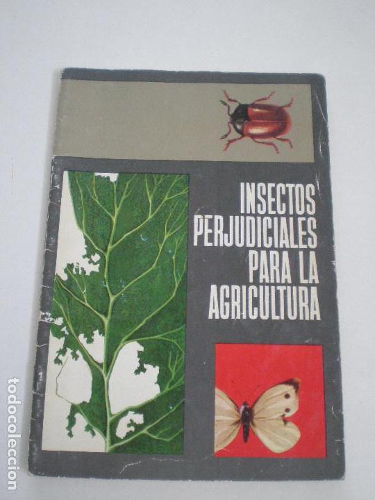 Libri di seconda mano: INSECTOS PERJUDICIALES PARA LA AGRICULTURA - G.C. BONGIOVANNI L. SPIGHI - SHELL ESPA&Ntilde;A S.A. 1964