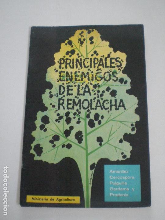 Libri di seconda mano: PRINCIPALES ENEMIGOS DE LA REMOLACHA - MINIS.AGRICULTURA 1963 // J. CREMADES CEPA ANTONIO AGUIRRE