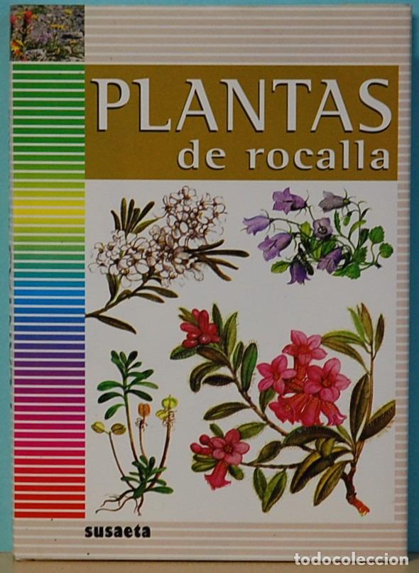 Libros de segunda mano: PLANTAS DE ROCALLA.VLASTA VODICKOVA.EDICONES SUSAETA.1994