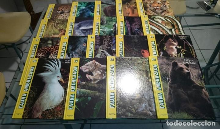Libros de segunda mano: FAUNA AMENAZADA - ANAYA -- 19 T -- OBRA COMPLETA - Foto 4