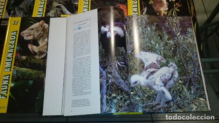 Libros de segunda mano: FAUNA AMENAZADA - ANAYA -- 19 T -- OBRA COMPLETA - Foto 5