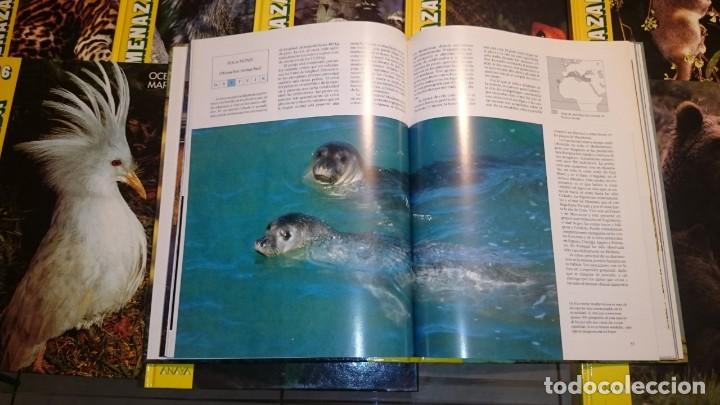 Libros de segunda mano: FAUNA AMENAZADA - ANAYA -- 19 T -- OBRA COMPLETA - Foto 6