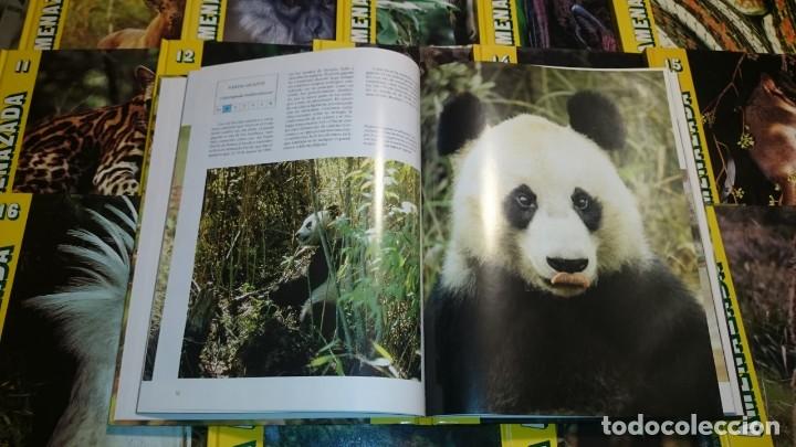 Libros de segunda mano: FAUNA AMENAZADA - ANAYA -- 19 T -- OBRA COMPLETA - Foto 7