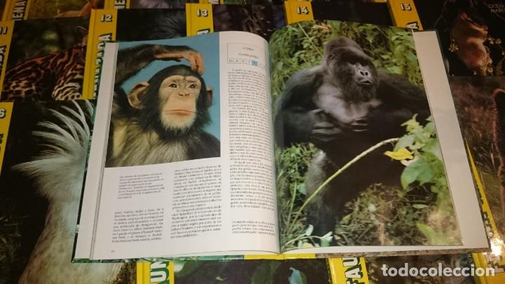 Libros de segunda mano: FAUNA AMENAZADA - ANAYA -- 19 T -- OBRA COMPLETA - Foto 9