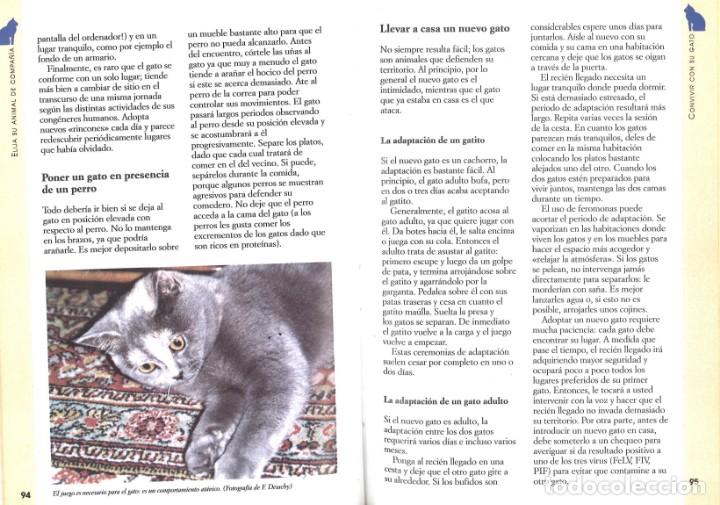 Libros de segunda mano: Elija su animal de compa&ntilde;&iacute;a. Editorial de Vecchi, 2003 - Foto 2