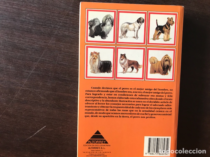 Libros de segunda mano: Mi amigo el perro. Alan Rusell - Foto 1