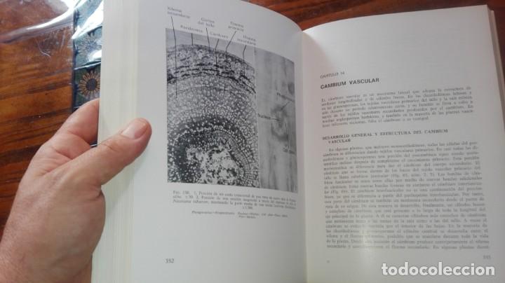 Libros de segunda mano: ANATOM&Iacute;A VEGETAL . A.FAHN. H.BLUME EDICIONES. - Foto 5