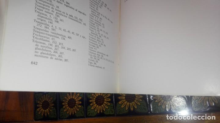 Libros de segunda mano: ANATOM&Iacute;A VEGETAL . A.FAHN. H.BLUME EDICIONES. - Foto 10