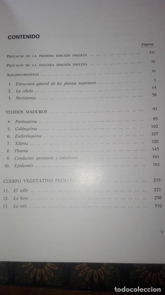 Libros de segunda mano: ANATOM&Iacute;A VEGETAL . A.FAHN. H.BLUME EDICIONES. - Foto 11