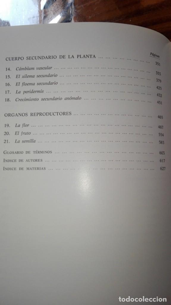 Libros de segunda mano: ANATOM&Iacute;A VEGETAL . A.FAHN. H.BLUME EDICIONES. - Foto 12
