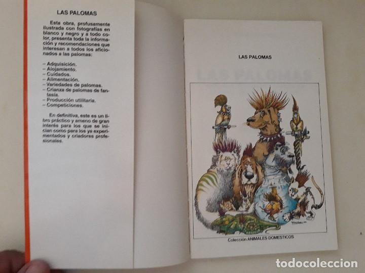 Libros de segunda mano: Las Palomas. Carl Naether. Editorial Hispano Europea. Barcelona, 1997. - Foto 2