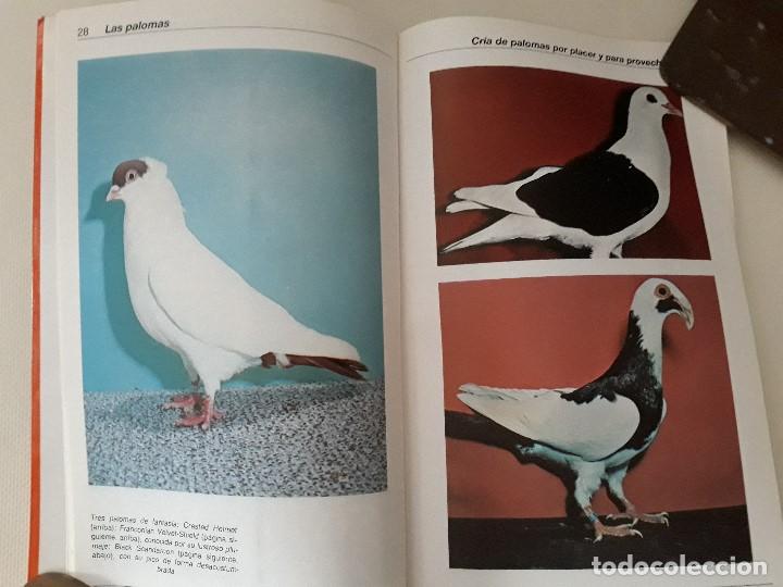 Libros de segunda mano: Las Palomas. Carl Naether. Editorial Hispano Europea. Barcelona, 1997. - Foto 5