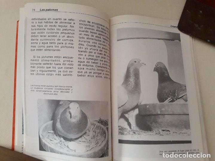 Libros de segunda mano: Las Palomas. Carl Naether. Editorial Hispano Europea. Barcelona, 1997. - Foto 6