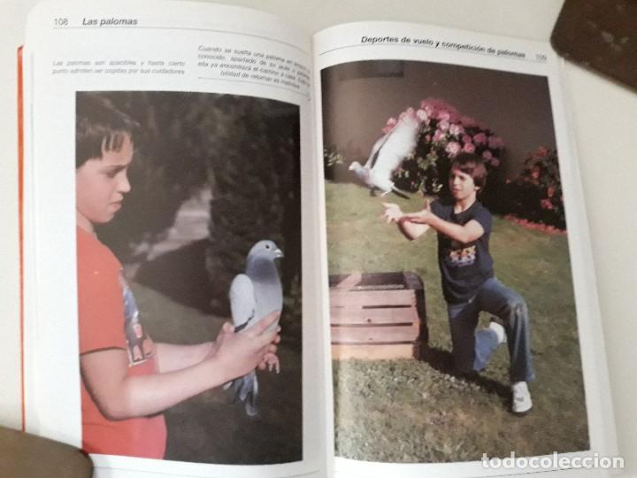 Libros de segunda mano: Las Palomas. Carl Naether. Editorial Hispano Europea. Barcelona, 1997. - Foto 7