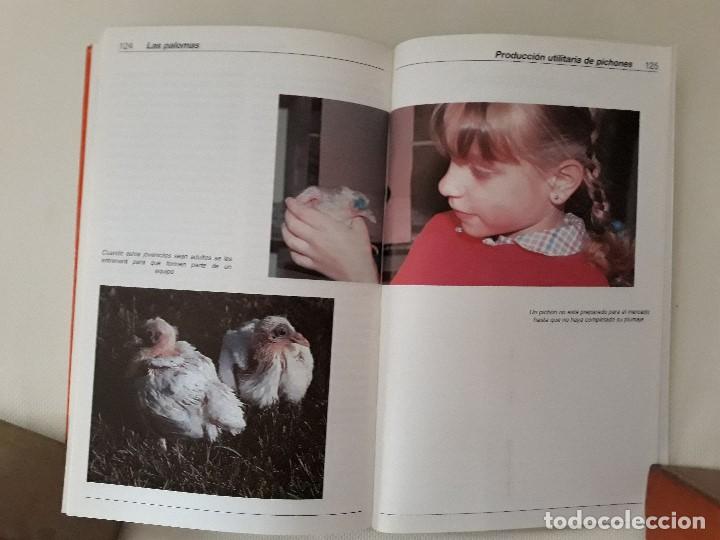 Libros de segunda mano: Las Palomas. Carl Naether. Editorial Hispano Europea. Barcelona, 1997. - Foto 8